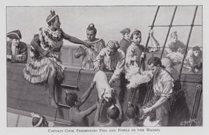 Kapitein Cook presenteert varkens en kippen aan de Maori
