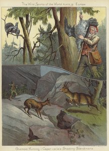 Gemsjacht en auerhoen schieten