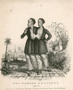 Chang en Eng, de Siamese Jongens, 18 jaar oud