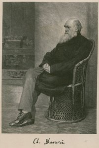 Charles Darwin door English School