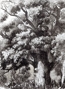 Karel II (1630-85) verborgen in de eik, 14 oktober 1651