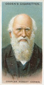 Charles Robert Darwin door English School