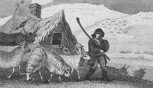 Cheviot herders door English School