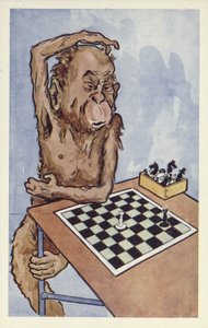 Chimpanzee die een schaakzet overweegt door English School