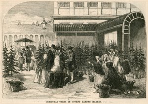 Kerstbomen in Covent Garden Market, Londen