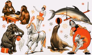 Circusmontage