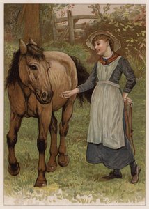Slimme Dobbin door English School