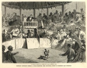 Hanenvechten, de nationale sport van het moderne San Domingo