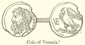 Munt van Venusia door English School