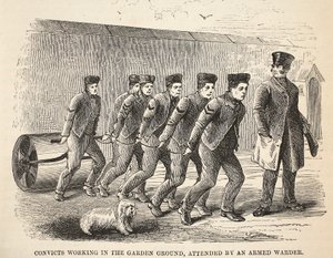 Gevangenen aan het werk in de tuin, begeleid door een gewapende bewaker, illustratie uit The Criminal Prisons of London and Scenes from Prison Life door Henry Mayhew en John Binny, uitgegeven in 1862