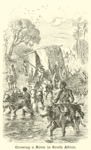 Een Rivier oversteken in Zuid-Afrika door English School