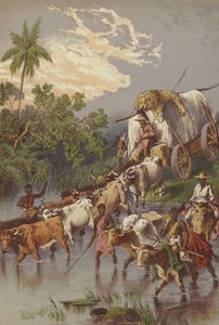 Een stroom oversteken in Zuid-Afrika