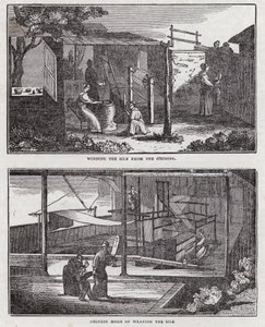Zijdecultivatie (gravure) door English School
