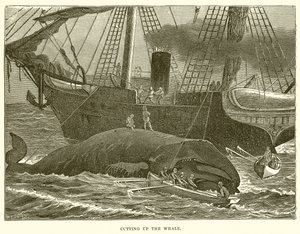 Het Slachten van de Walvis door English School