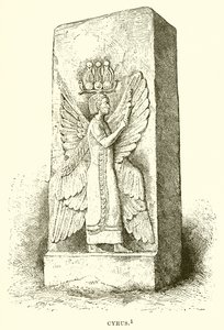 Cyrus