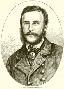 David Herbert Llewellyn