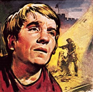 David Warner
