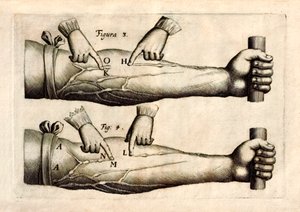 De Motu Cordi, set Sanguinis in Animalibus