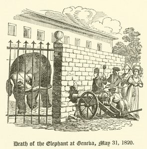 Dood van de olifant in Genève, 31 mei 1820
