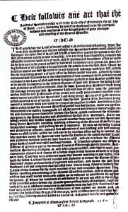 Verklaring door heren die de graaf van Bothwell als de moordenaar van Lord Darnley aanwijzen, 1567 door English School