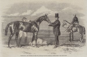 Diophantus, de winnaar van de Two-Thousand-Guinea Stakes in Newmarket (gravure) door English School