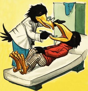 Dokter Kraai