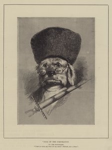 Honden van de Corporatie door English School
