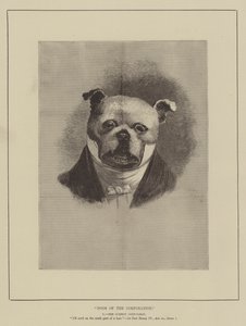 Honden van de Corporatie door English School