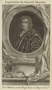 Herman Boerhaave door English School