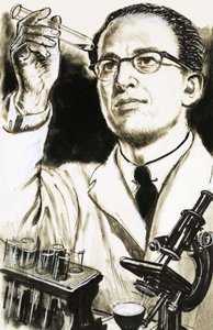 Dr. Jonas Salk, maker van het poliovaccin, kijkt naar een reageerbuis door English School