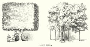 Nederlandse Bomen (gravure) door English School