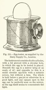 Eiertester, geleverd door de Dairy Supply Company, Londen door English School