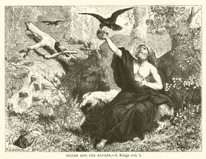 Elia en de Raven, I Koningen, xvii, 6 (gravure)