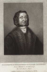 Elizabeth Steward door English School