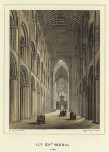Ely Kathedraal, schip