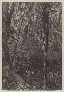 Engelse spoorwegopmetingsploeg in Midden-Amerika die een weg van het Meer van Nicaragua naar de Atlantische Oceaan aanlegt (gravure) door English School