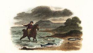 Engelse visser Graham jaagt op zalm in ondiep water te paard met een 5-meter lange drietand