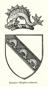 Voorbeeld, Dolfijn gebogen door English School
