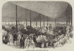 Tentoonstelling van de Royal Botanic Society, Regent