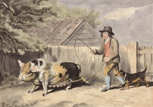 Boer brengt zijn varken naar de markt