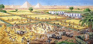 Landbouw in Egypte door English School