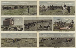 Boeren op de vlaktes van Noord-Amerika