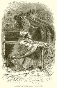 Faxiba, later Fide-Yosi