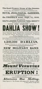 Bloemenfeest en Dahlia Show door English School