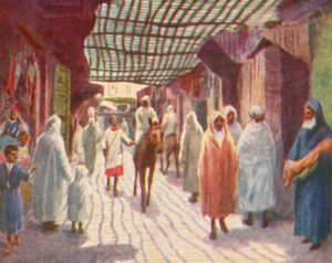 Fez, een schaduwrijke straat door English School