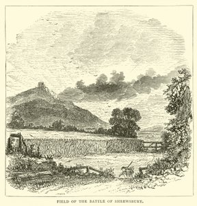 Veld van de Slag bij Shrewsbury door English School