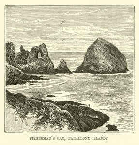 Vissersbaai, Farallone-eilanden