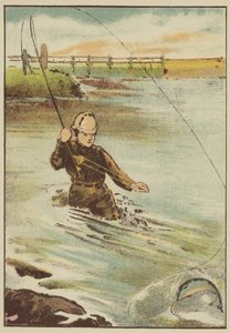 Vissen op forel