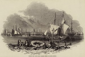 Buitenlandse Graanhavens, New Orleans (gravure) door English School