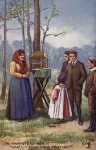 Waarzegger op Hampstead Heath